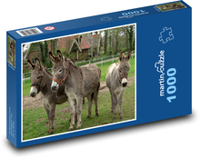 Osły w pomieszczeniu Puzzle 1000 elementów - 60x46 cm