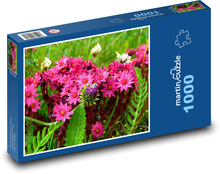 Blühende Bergwiese, Österreich Puzzle 1000 Teile - 60 x 46 cm