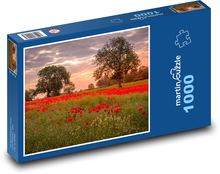 Makové pole - Ackworth Puzzle 1000 dielikov - 60 x 46 cm