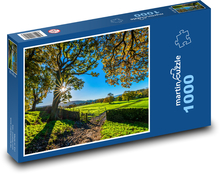 Yorkshire, slunečný podzim Puzzle 1000 dílků - 60 x 46 cm