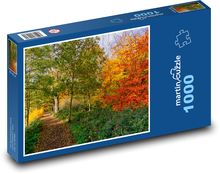 Podzimní příroda v lese Puzzle 1000 dílků - 60 x 46 cm