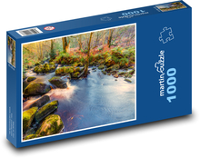 Potok w lesie Puzzle 1000 elementów - 60x46 cm