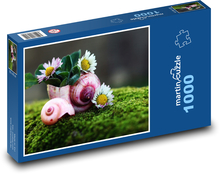 Muszle ślimaków ze stokrotkami Puzzle 1000 elementów - 60x46 cm