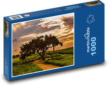 Strom, park Puzzle 1000 dielikov - 60 x 46 cm 