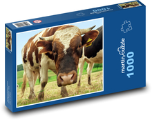 Krava škvrnitá na pastvine Puzzle 1000 dielikov - 60 x 46 cm 