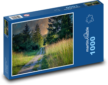 Zarastená lesná cesta Puzzle 1000 dielikov - 60 x 46 cm 