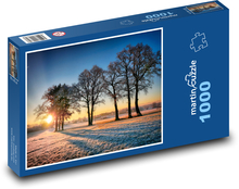 Zimní krajina Puzzle 1000 dílků - 60 x 46 cm