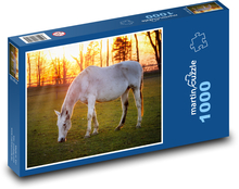 Bílý kůň na pastvě Puzzle 1000 dílků - 60 x 46 cm
