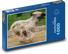 Wyścigi chartów Puzzle 1000 elementów - 60x46 cm