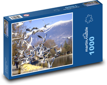 Vögel - Möwe Puzzle 1000 Teile - 60 x 46 cm
