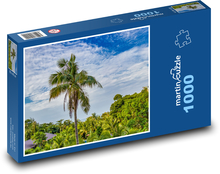 urastená palma Puzzle 1000 dielikov - 60 x 46 cm 