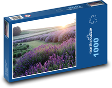 Levandulové pole při západu slunce Puzzle 1000 dílků - 60 x 46 cm