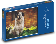 Pies w ogrodzie Puzzle 1000 elementów - 60x46 cm