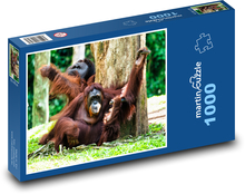 Orang-Utan Puzzle 1000 Teile - 60 x 46 cm