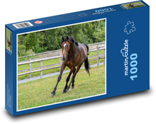 Horse Puzzle 1000 pieces - 60 x 46 cm 