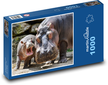 Hippopotamus, hippopotamus cub Puzzle 1000 pieces - 60 x 46 cm 