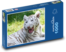 Bílí tygr Puzzle 1000 dílků - 60 x 46 cm
