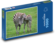 Zebra, mládě Puzzle 1000 dílků - 60 x 46 cm