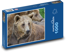 Medvěd hnědý Puzzle 1000 dílků - 60 x 46 cm