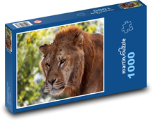 Lion Puzzle 1000 pieces - 60 x 46 cm 