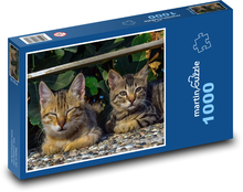 Kočky Puzzle 1000 dílků - 60 x 46 cm