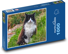 Kot Puzzle 1000 elementów - 60x46 cm