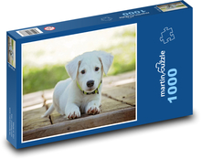 Szczeniak na patio Puzzle 1000 elementów - 60x46 cm