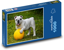 Pes, buldog s loptou Puzzle 1000 dielikov - 60 x 46 cm 