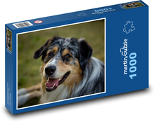 Hund - Australian Shepherd Puzzle 1000 Teile - 60 x 46 cm