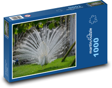 White peacock Puzzle 1000 pieces - 60 x 46 cm 