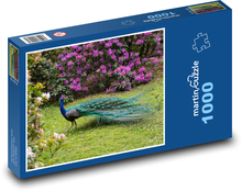 Páv v parku Puzzle 1000 dielikov - 60 x 46 cm 