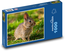 Kleiner Hase Puzzle 1000 Teile - 60 x 46 cm