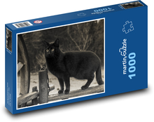Černá kočka Puzzle 1000 dílků - 60 x 46 cm