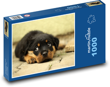 Rottweiler - Welpe Puzzle 1000 Teile - 60 x 46 cm