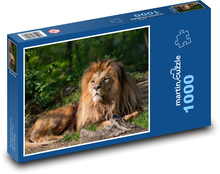 King of Animals - Lion Puzzle 1000 pieces - 60 x 46 cm 