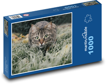 Domestic cat Puzzle 1000 pieces - 60 x 46 cm 