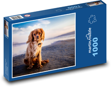 Pes, pláž Puzzle 1000 dílků - 60 x 46 cm