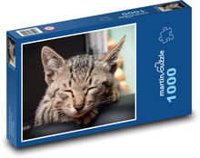 Kočka domácí Puzzle 1000 dílků - 60 x 46 cm