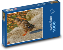 kačica divá Puzzle 1000 dielikov - 60 x 46 cm 