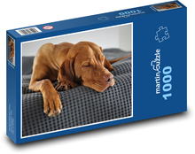 Hungarian hound Puzzle 1000 pieces - 60 x 46 cm 