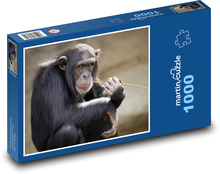 CHIMPANZEE Puzzle 1000 pieces - 60 x 46 cm 