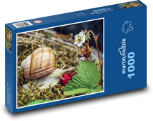 Garden snail Puzzle 1000 pieces - 60 x 46 cm 