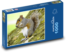 Graues Eichhörnchen Puzzle 1000 Teile - 60 x 46 cm