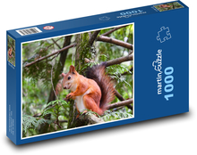 Gryzoń - wiewiórka Puzzle 1000 elementów - 60x46 cm