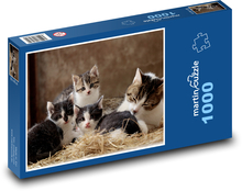 Mladé kočky Puzzle 1000 dílků - 60 x 46 cm