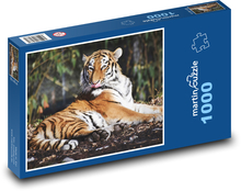 Tiger, šelma Puzzle 1000 dielikov - 60 x 46 cm 