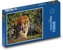 Tygr, velká kočka Puzzle 1000 - 60x46 cm