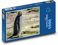 Ptak - Pingwin Puzzle 1000 elementów - 60x46 cm