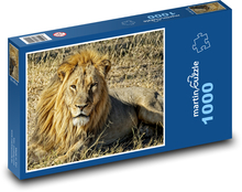 Zviera - Lev Puzzle 1000 dielikov - 60 x 46 cm 