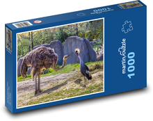 Zoo - ostrich Puzzle 1000 pieces - 60 x 46 cm 